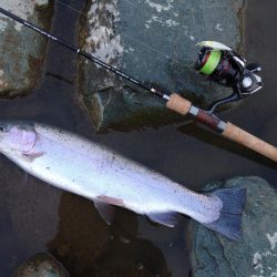 朝は爆風、午後は穏やか ～天竜川ルアーフライ専用区～